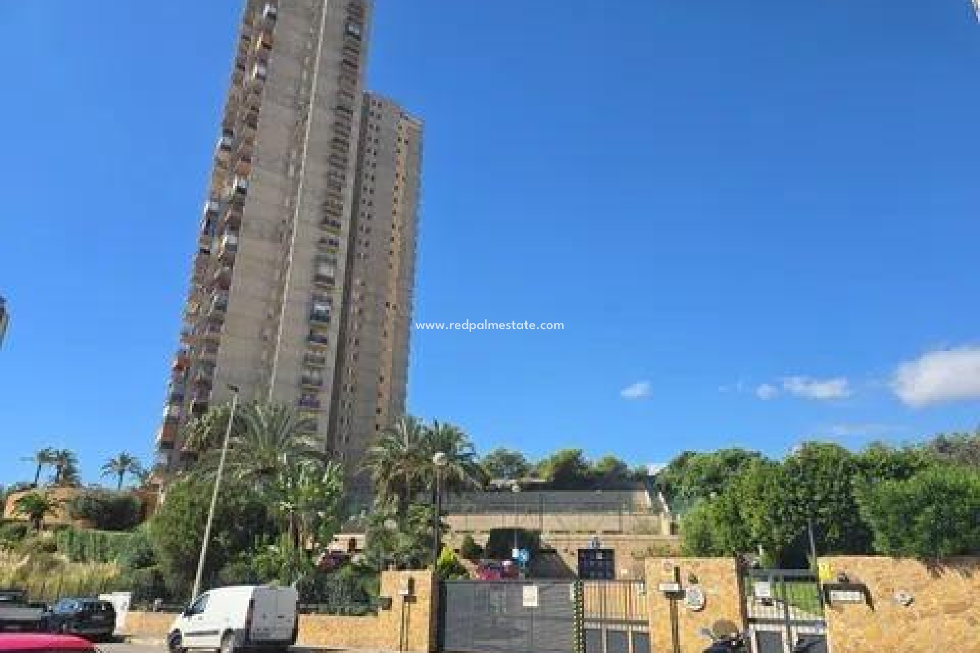 Återförsäljning - Lägenhet -
Benidorm - Via Parque