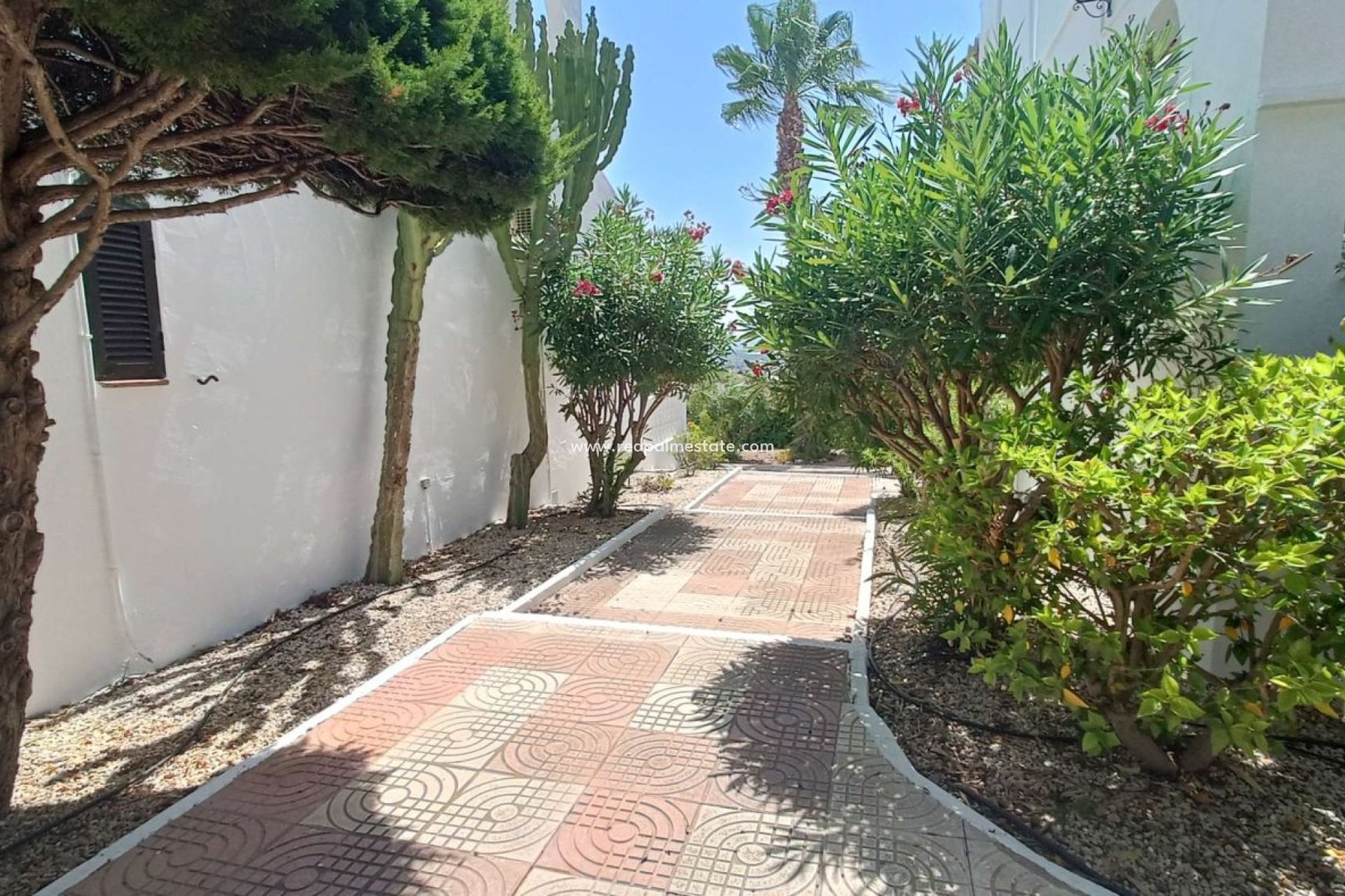 Återförsäljning - Lägenhet -
Ciudad Quesada/Rojales - Ciudad Quesada