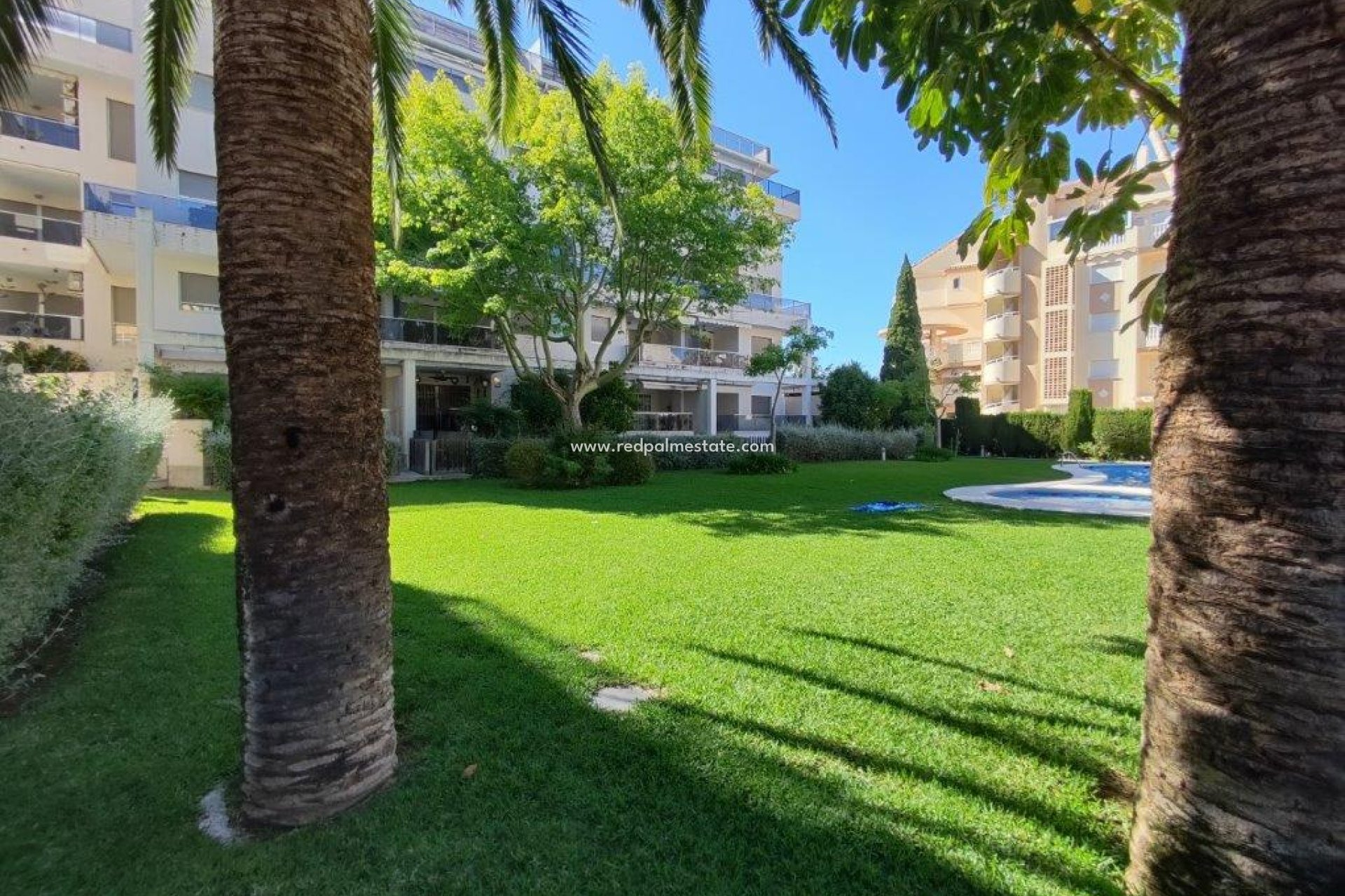 Återförsäljning - Lägenhet -
Denia