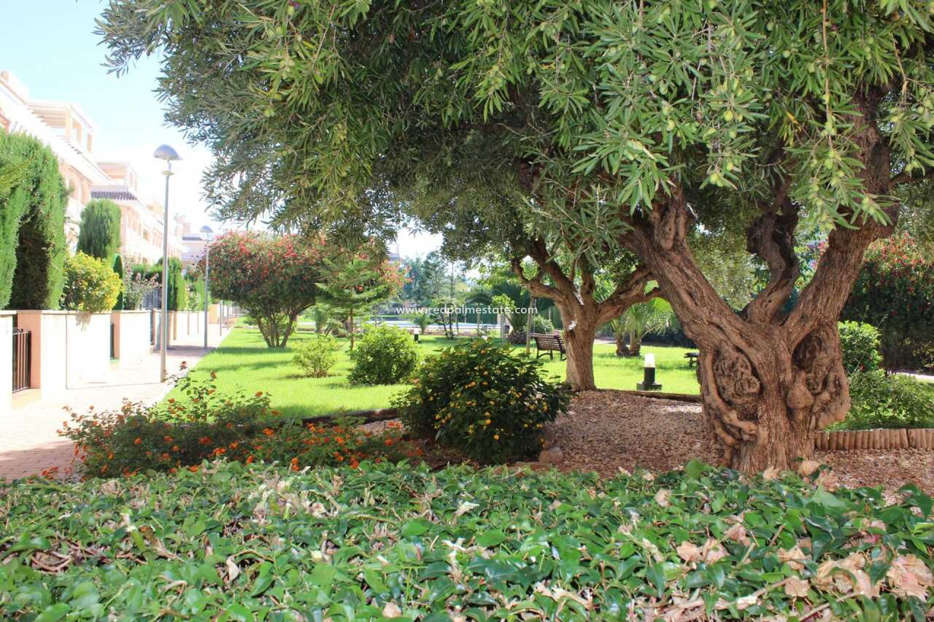 Återförsäljning - Lägenhet -
Denia