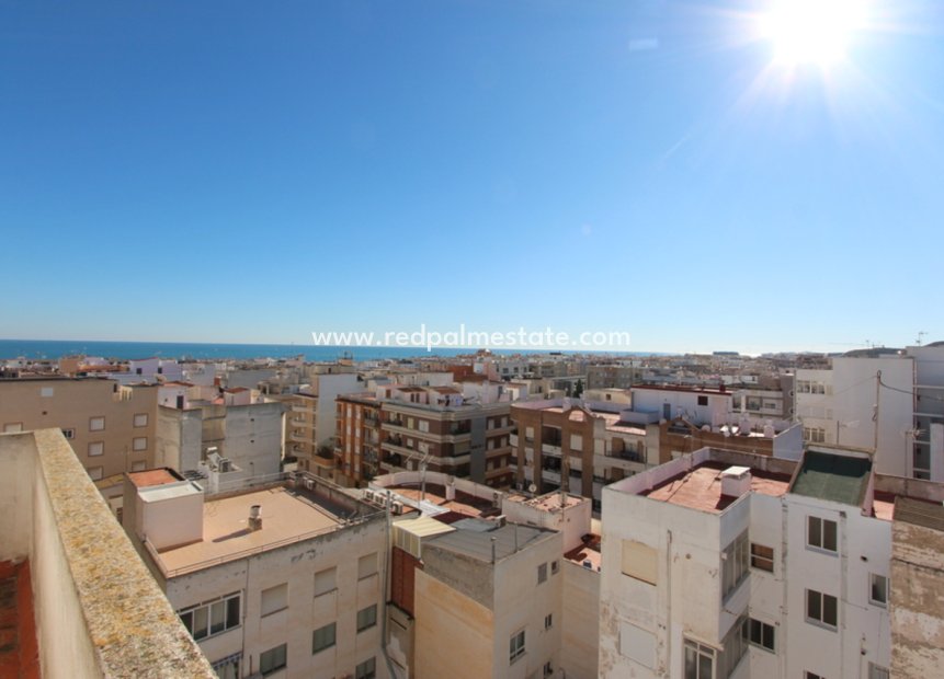 Återförsäljning - Lägenhet -
Guardamar del Segura - Costa Blanca