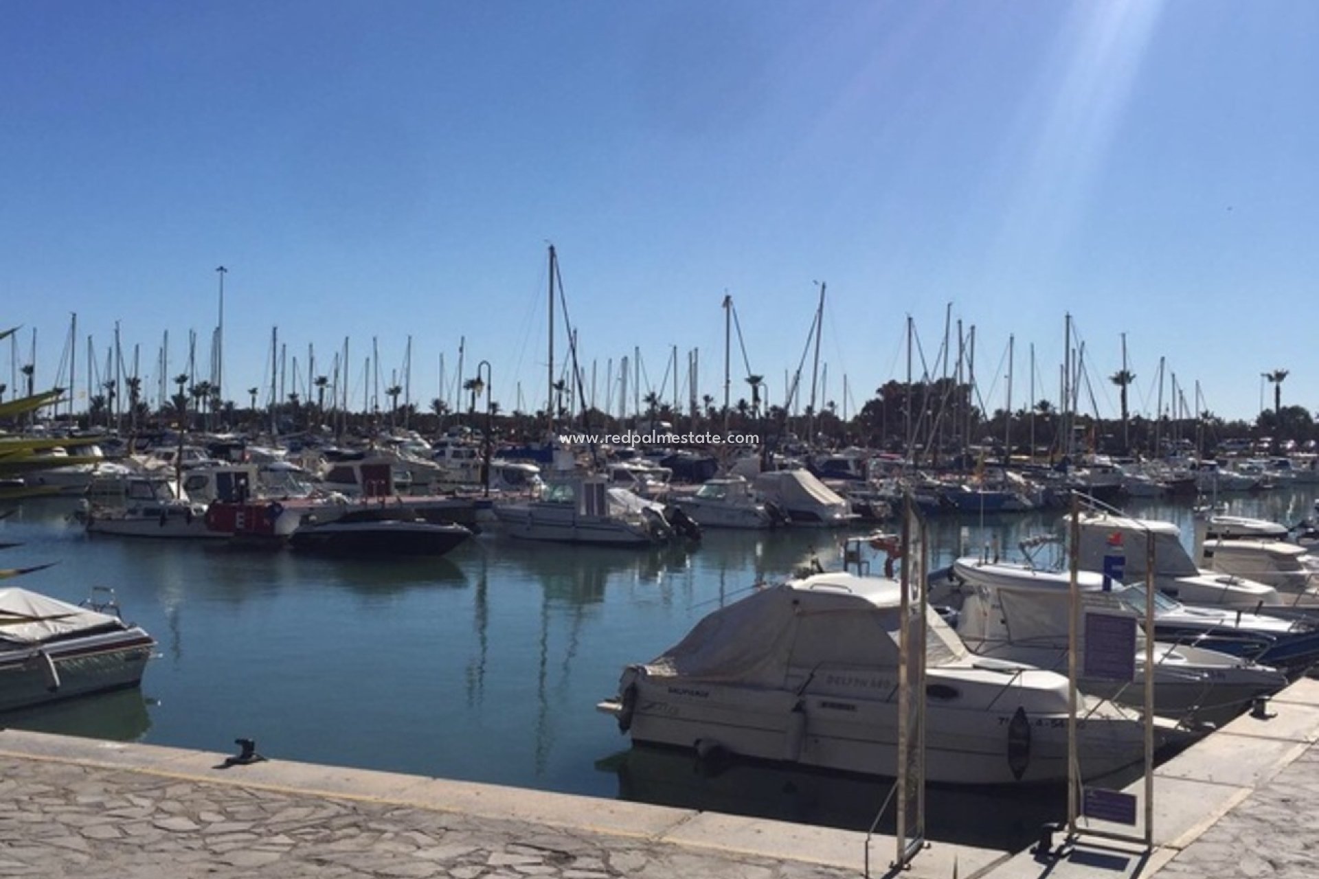 Återförsäljning - Lägenhet -
Guardamar del Segura - Costa Blanca