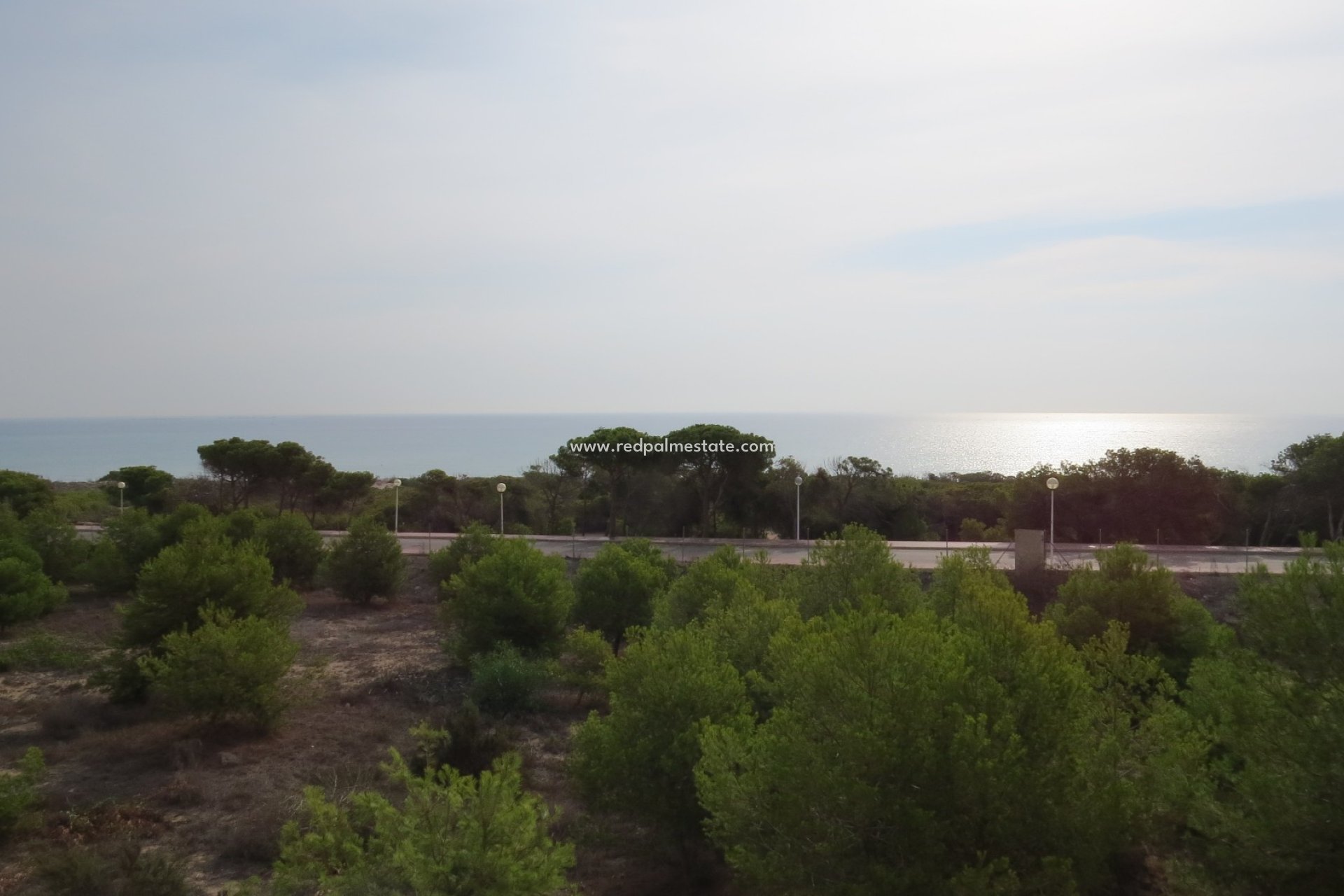 Återförsäljning - Lägenhet -
Guardamar del Segura - Costa Blanca