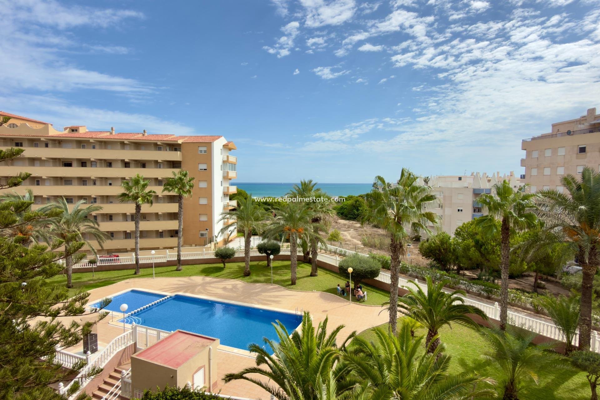 Återförsäljning - Lägenhet -
Guardamar del Segura - Urbanizaciones