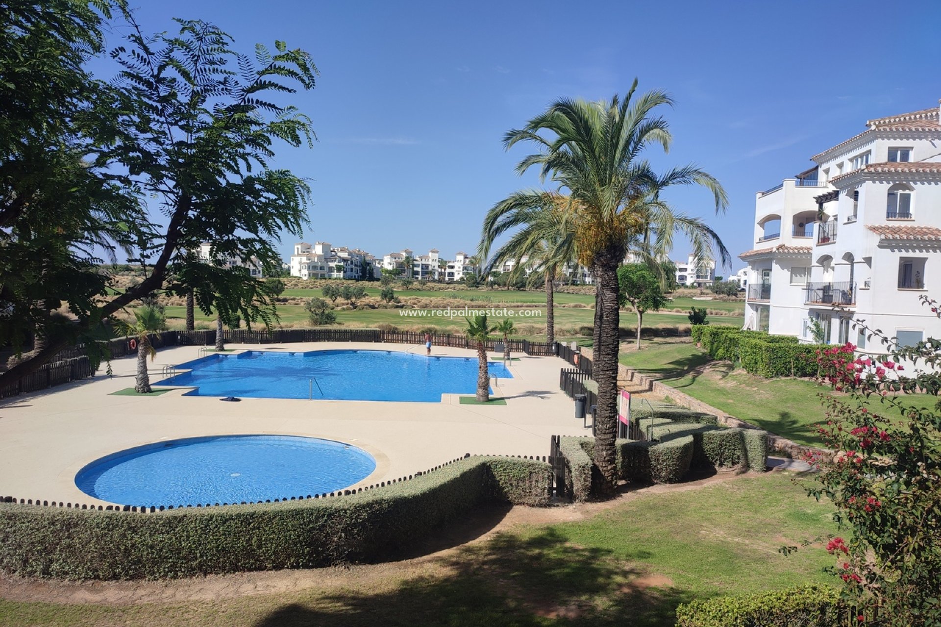 Återförsäljning - Lägenhet -
Hacienda Riquelme Golf Resort - Inland