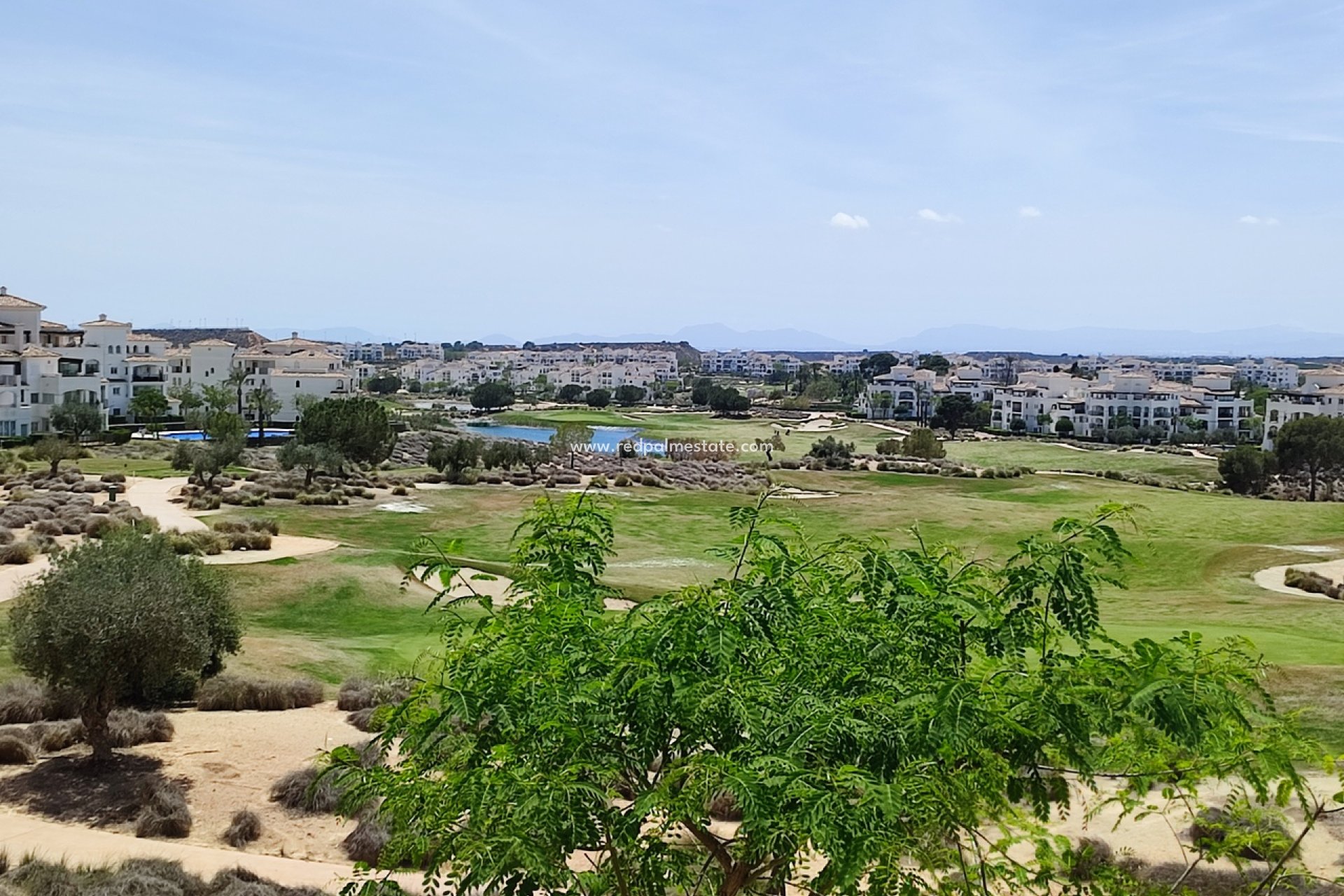 Återförsäljning - Lägenhet -
Hacienda Riquelme Golf Resort - Inland