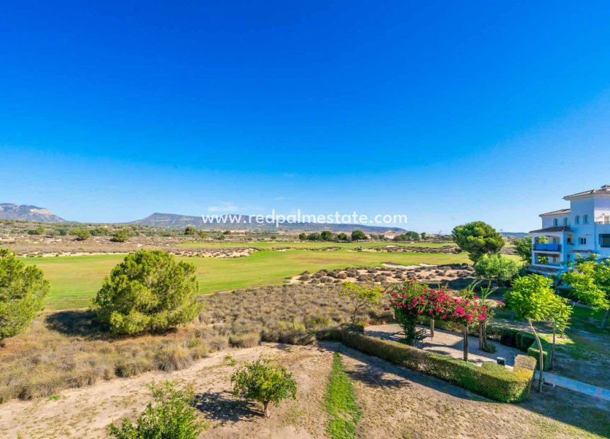 Återförsäljning - Lägenhet -
Hacienda Riquelme Golf Resort - Inland