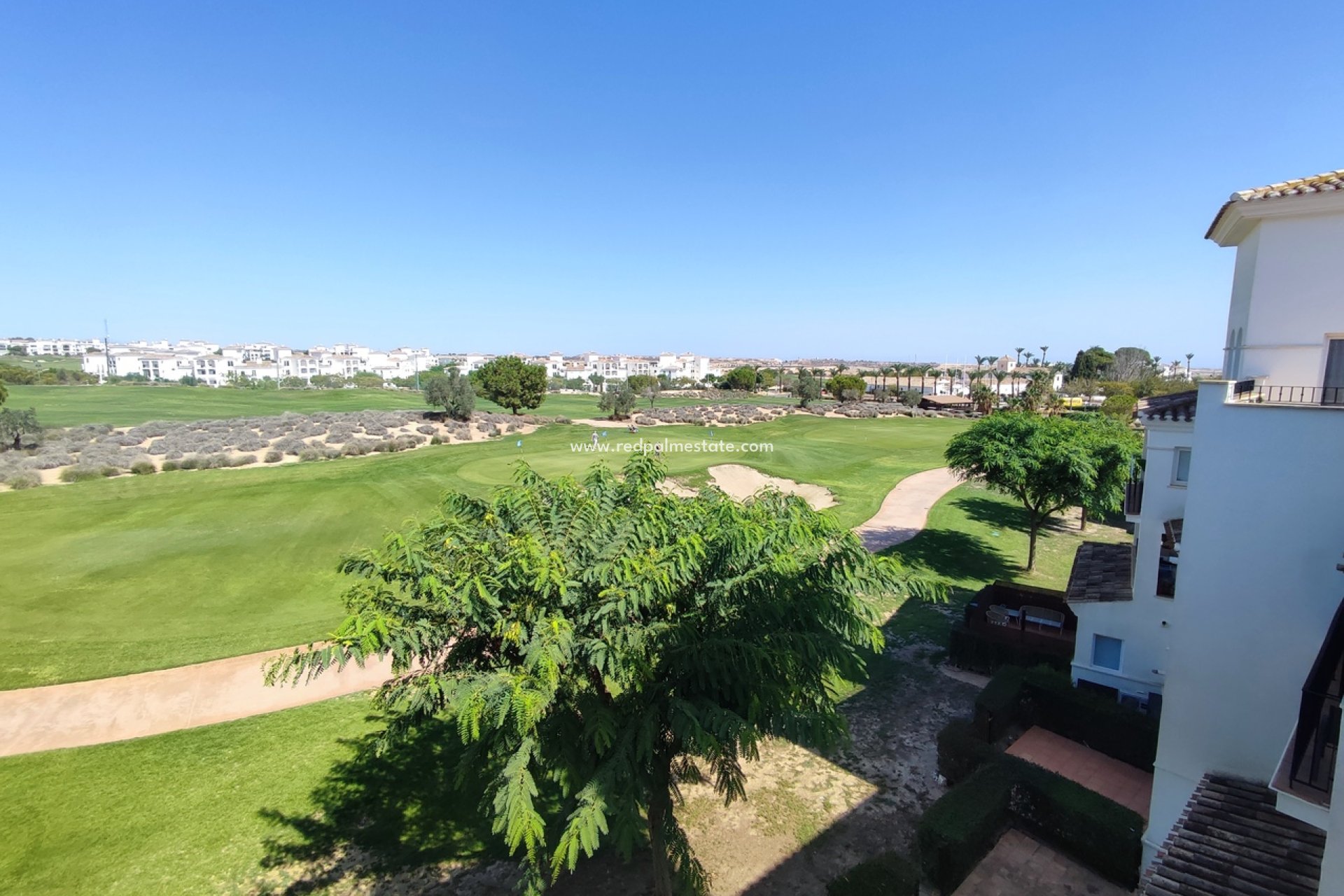 Återförsäljning - Lägenhet -
Hacienda Riquelme Golf Resort - Inland