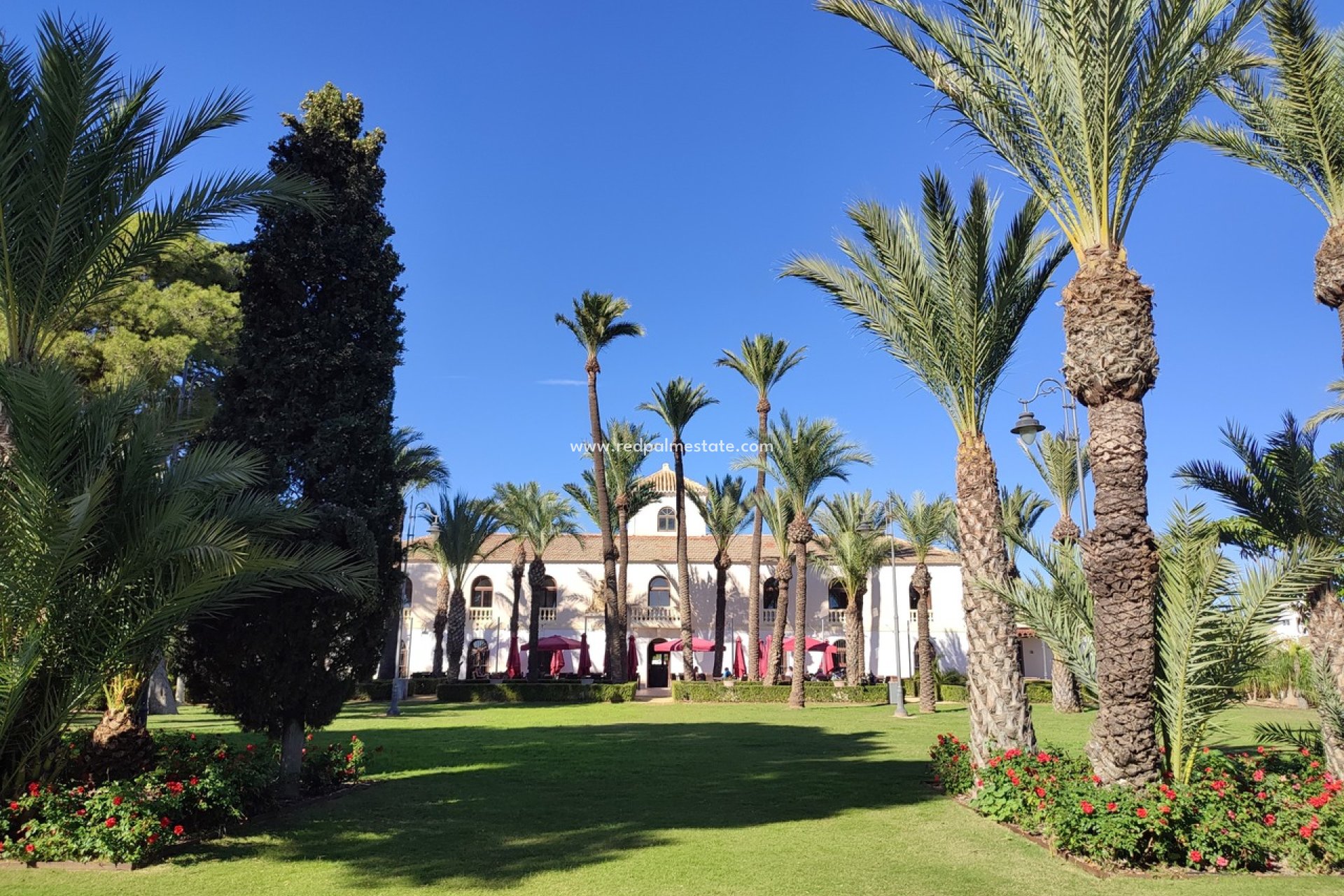 Återförsäljning - Lägenhet -
Hacienda Riquelme Golf Resort - Inland