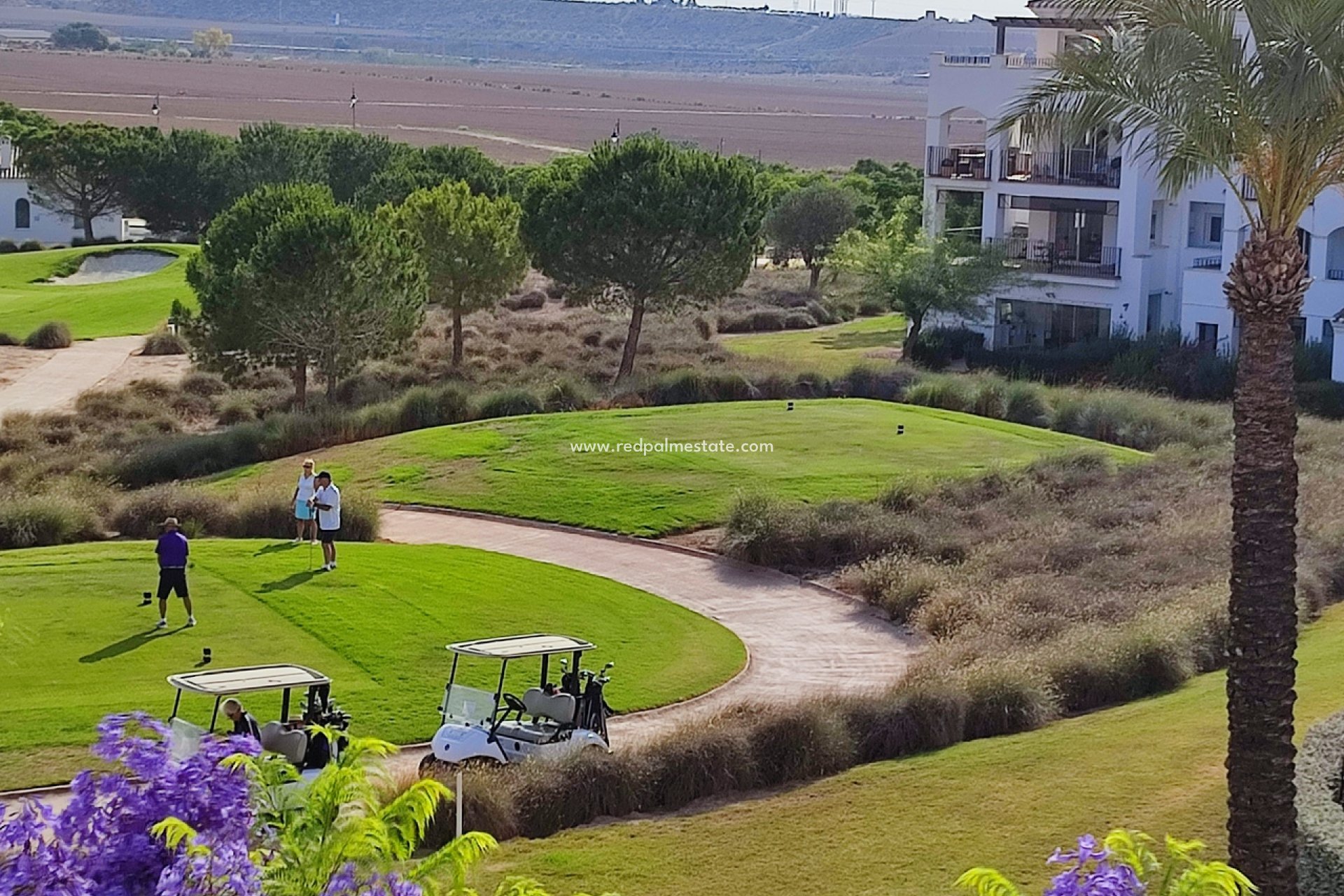 Återförsäljning - Lägenhet -
Hacienda Riquelme Golf Resort - Inland