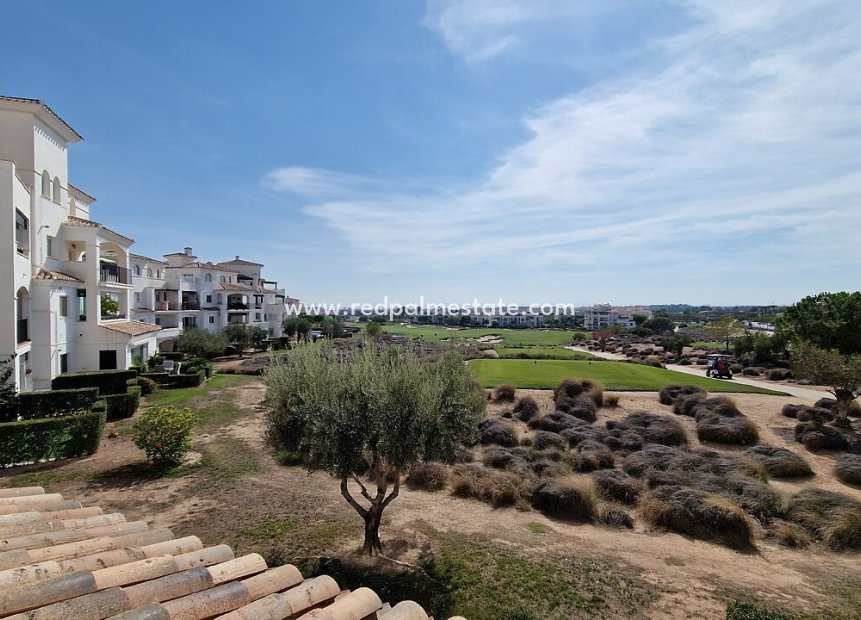 Återförsäljning - Lägenhet -
Hacienda Riquelme Golf Resort - Inland