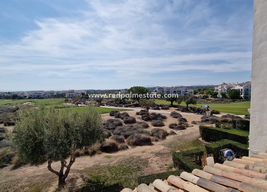 Återförsäljning - Lägenhet -
Hacienda Riquelme Golf Resort - Inland