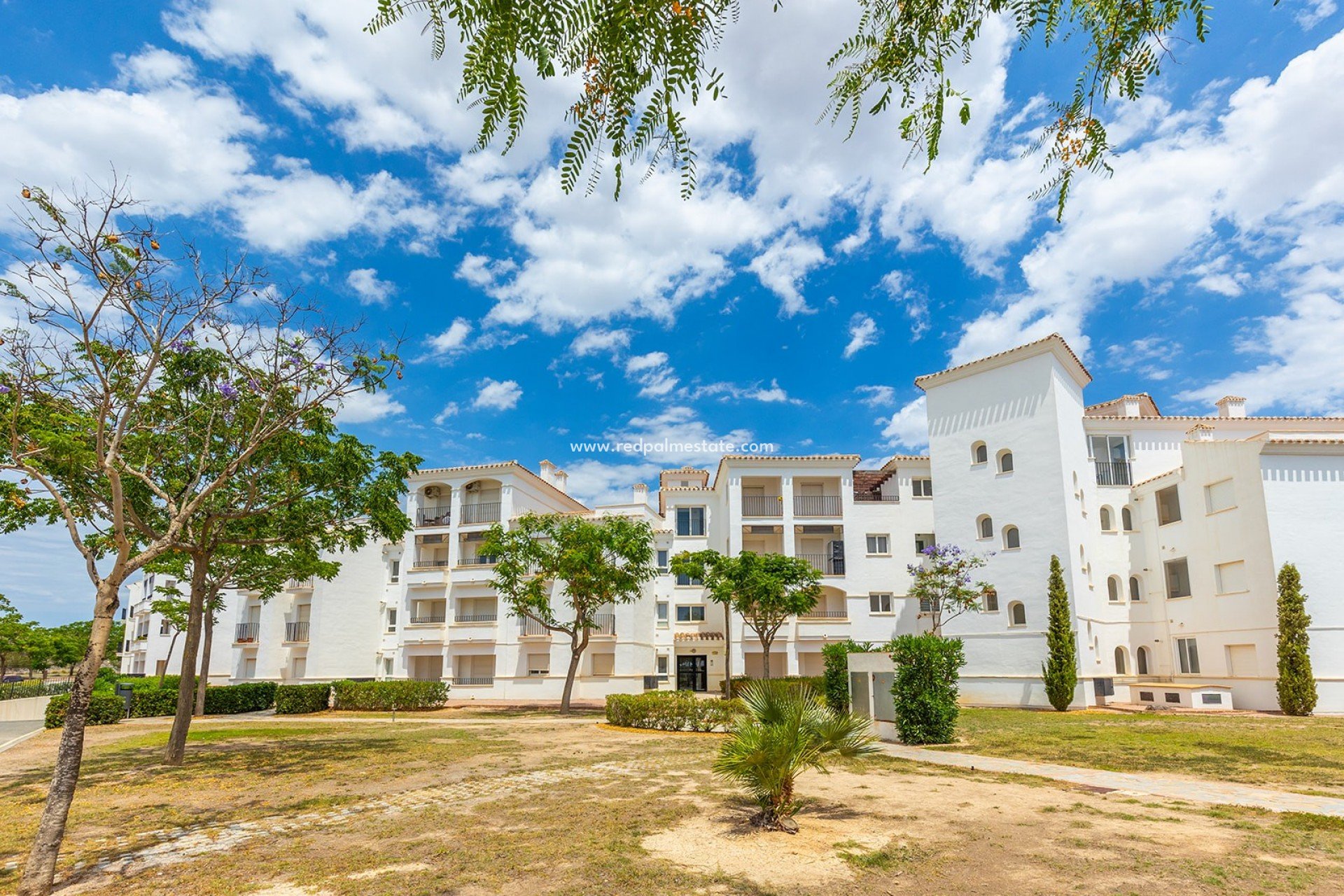 Återförsäljning - Lägenhet -
Hacienda Riquelme Golf Resort - Inland