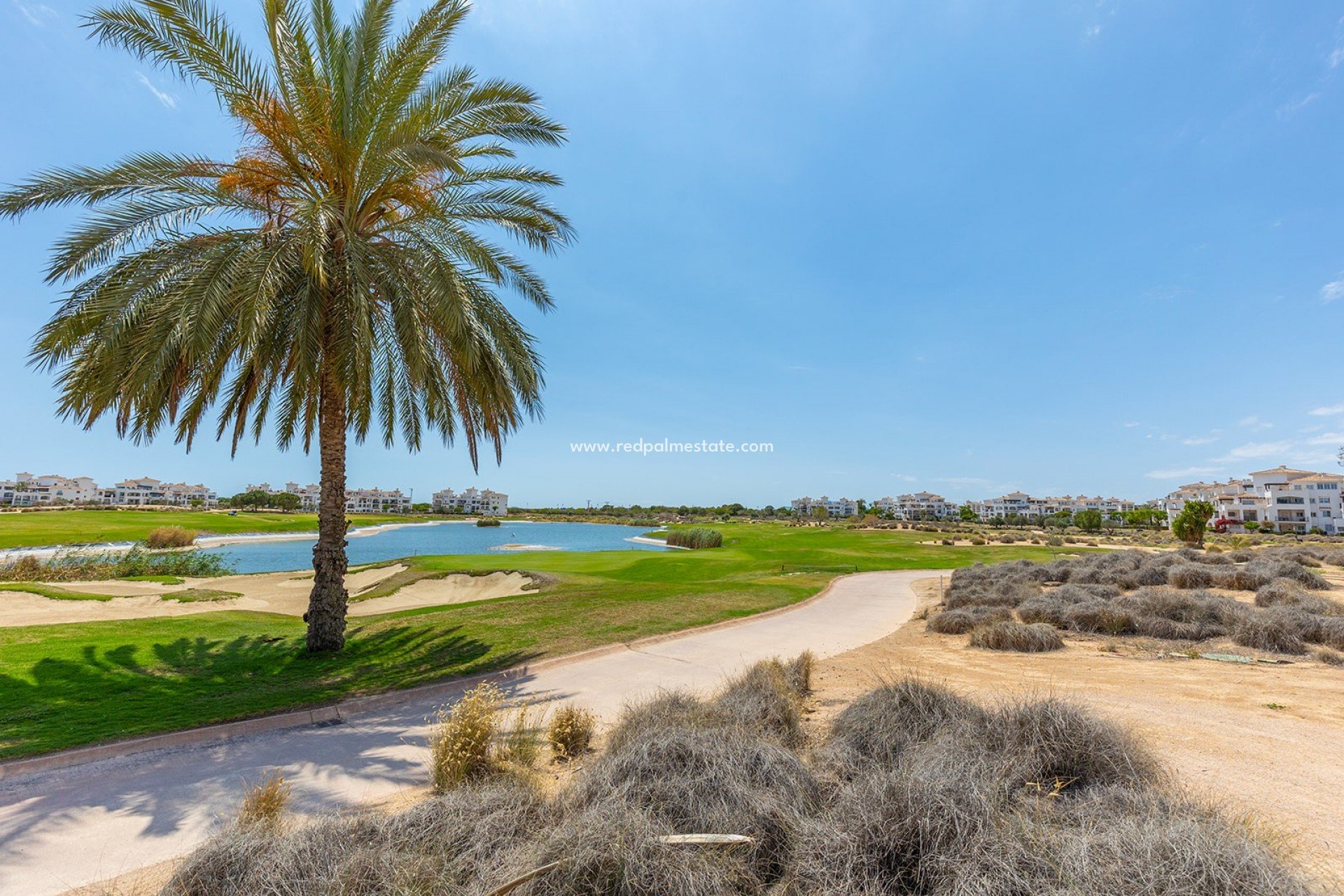 Återförsäljning - Lägenhet -
Hacienda Riquelme Golf Resort - Inland