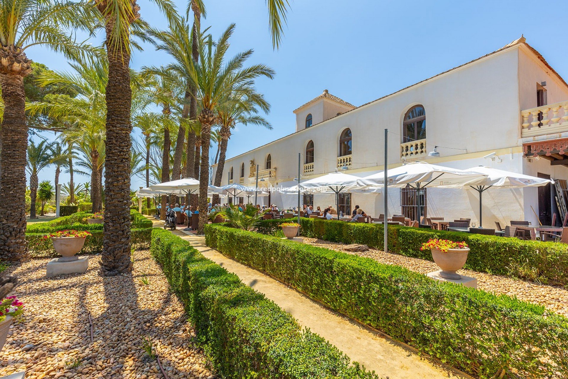 Återförsäljning - Lägenhet -
Hacienda Riquelme Golf Resort - Inland