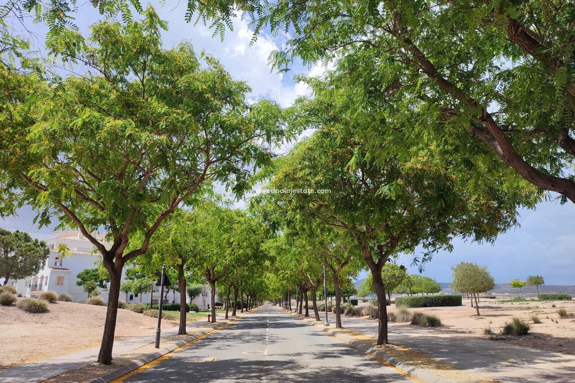 Återförsäljning - Lägenhet -
Hacienda Riquelme Golf Resort - Inland