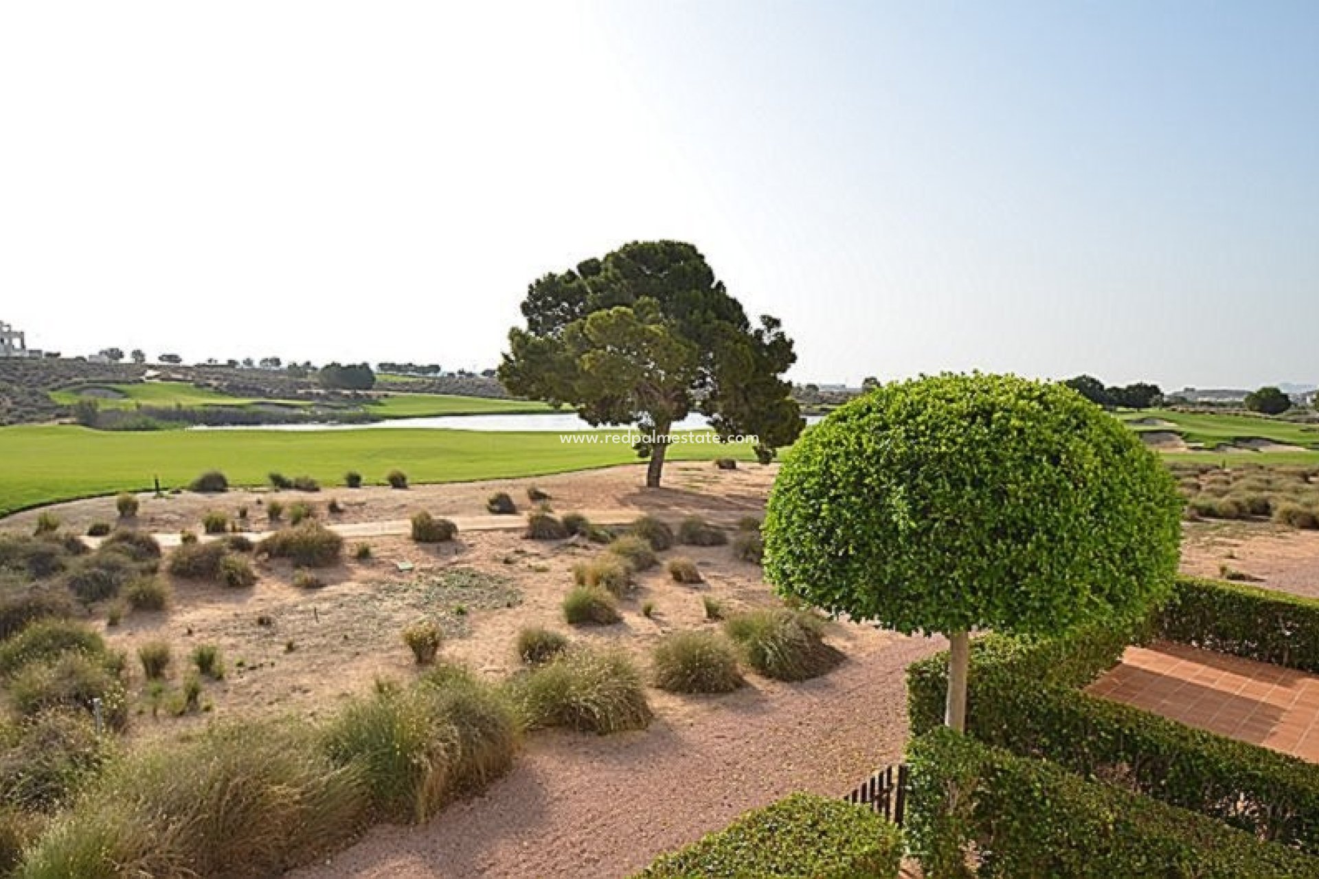 Återförsäljning - Lägenhet -
Hacienda Riquelme Golf Resort