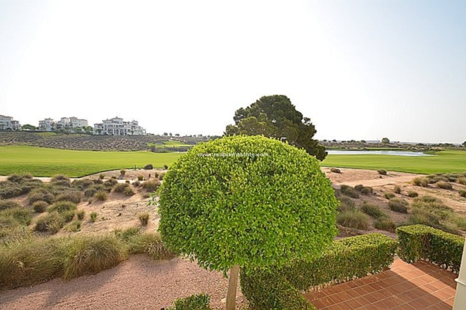 Återförsäljning - Lägenhet -
Hacienda Riquelme Golf Resort