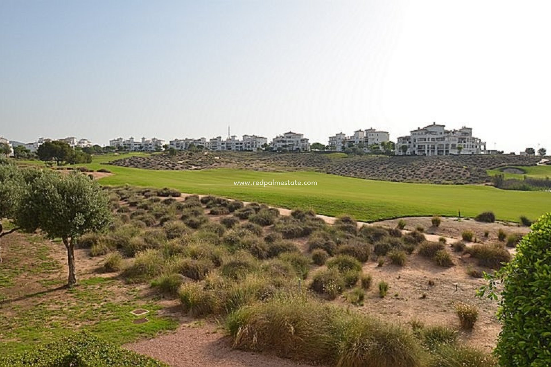 Återförsäljning - Lägenhet -
Hacienda Riquelme Golf Resort