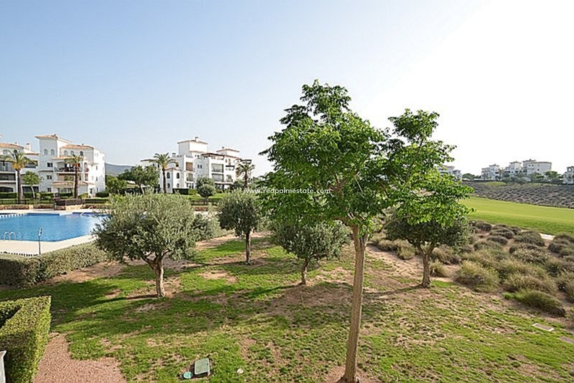 Återförsäljning - Lägenhet -
Hacienda Riquelme Golf Resort