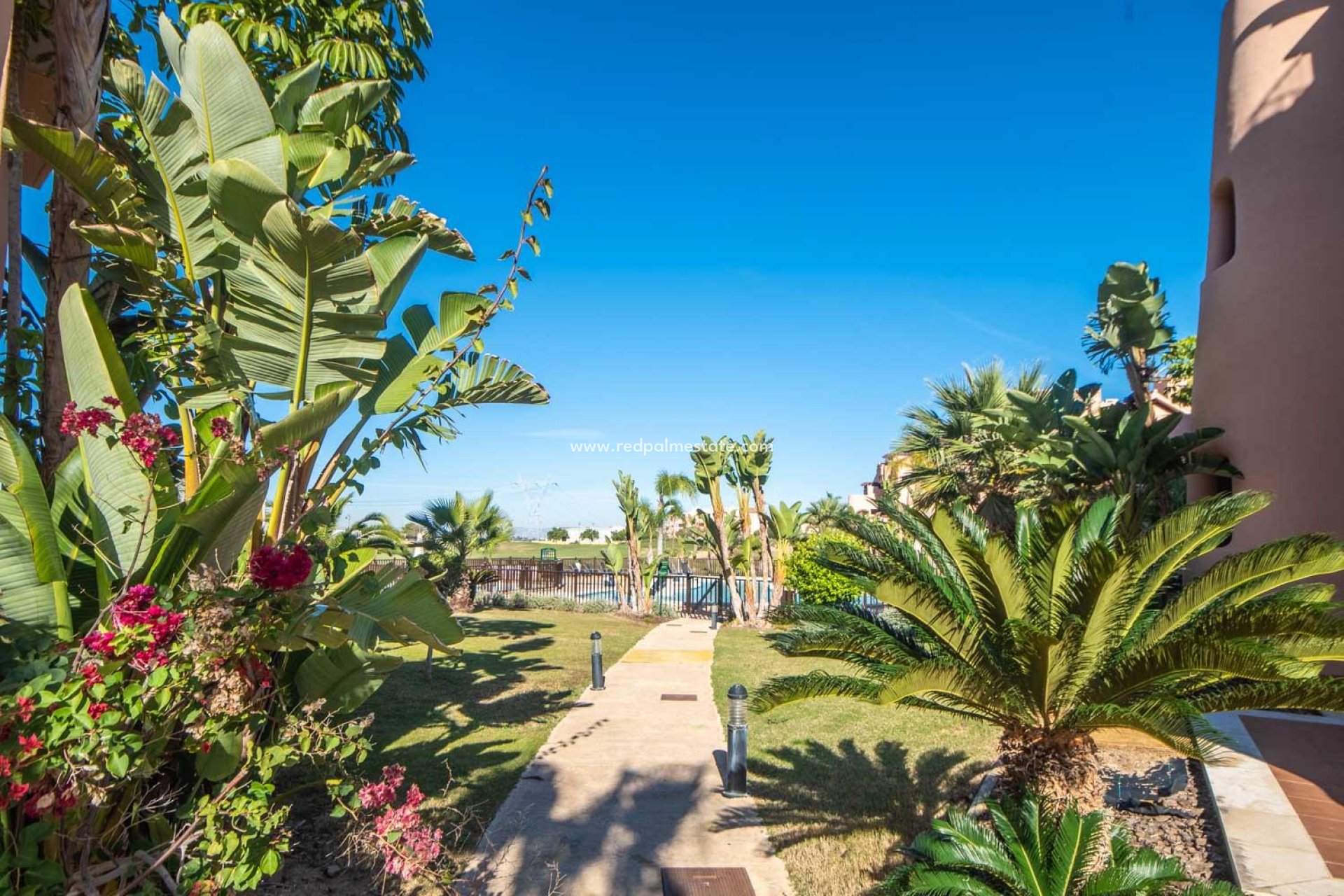 Återförsäljning - Lägenhet -
Mar Menor Golf Resort - Inland