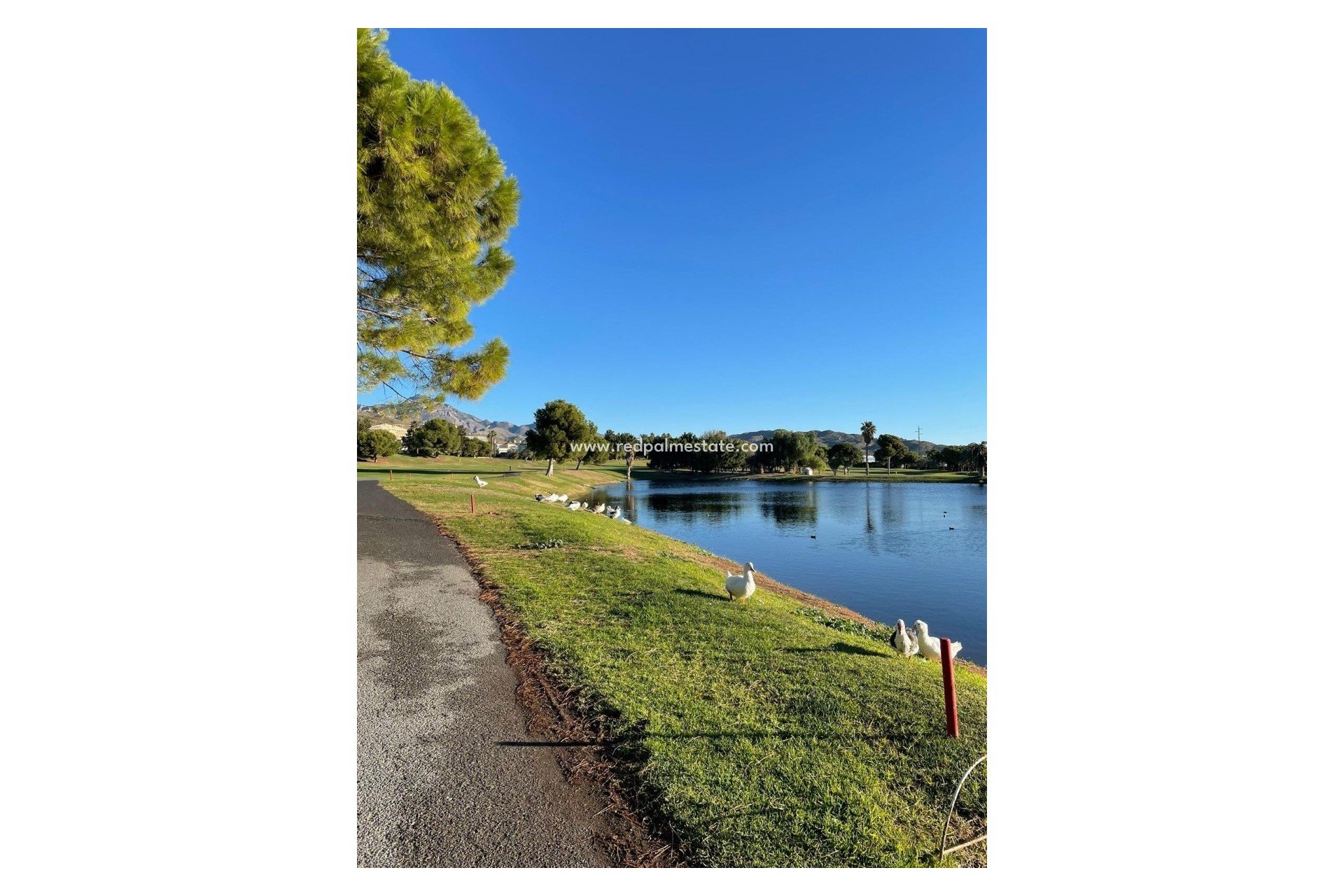 Återförsäljning - Lägenhet -
Mutxamel - Club De Golf Bonalba