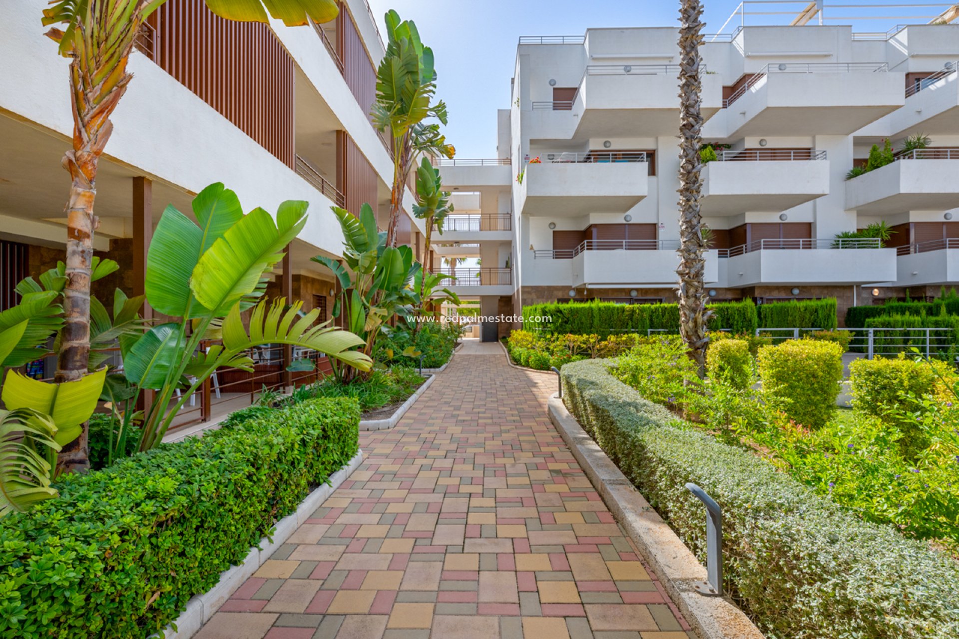 Återförsäljning - Lägenhet -
Orihuela Costa - Cabo Roig