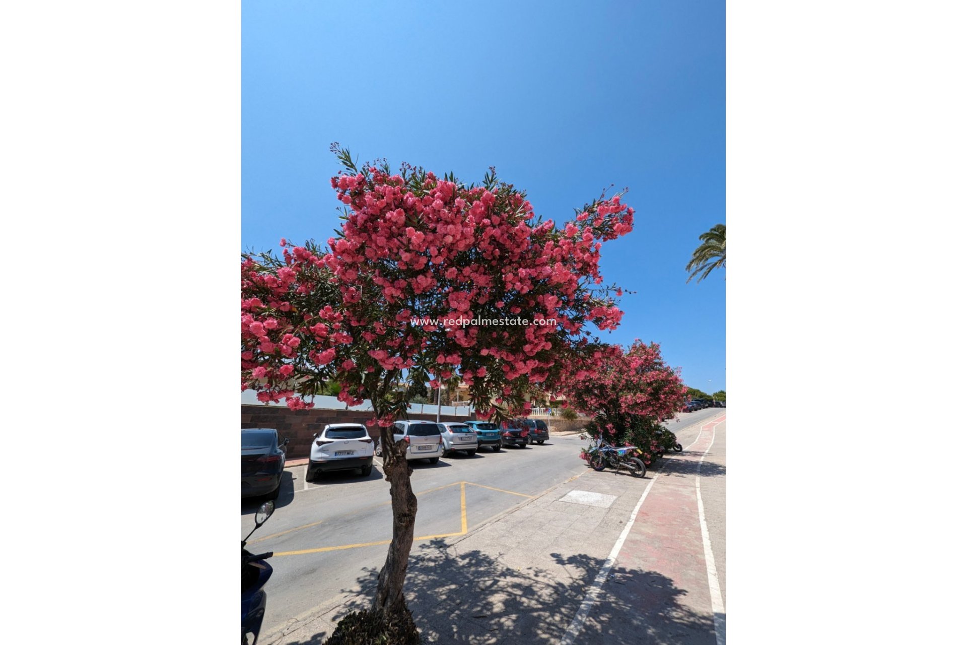 Återförsäljning - Lägenhet -
Orihuela Costa - Cabo Roig