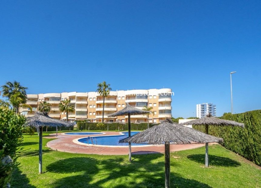 Återförsäljning - Lägenhet -
Orihuela Costa - Campoamor