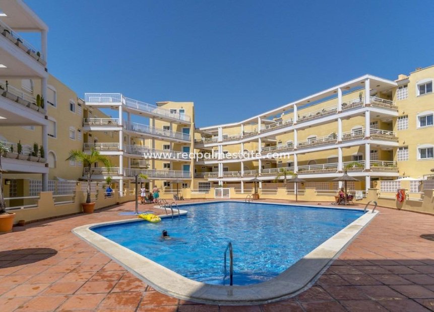 Återförsäljning - Lägenhet -
Orihuela Costa - Campoamor