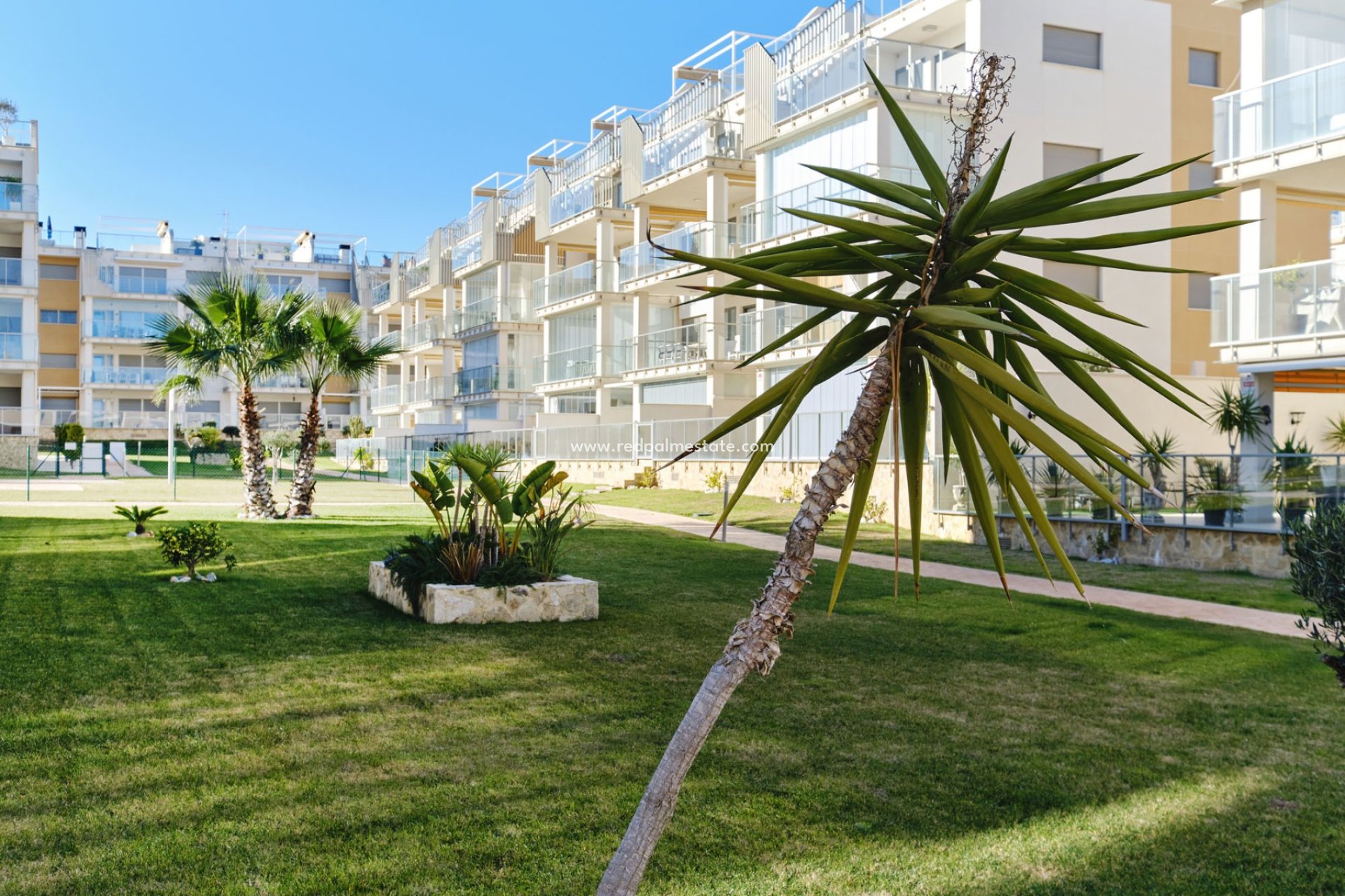 Återförsäljning - Lägenhet -
Orihuela Costa - Costa Blanca