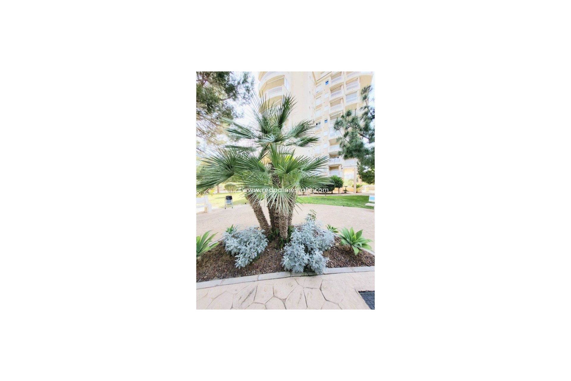 Återförsäljning - Lägenhet -
Orihuela Costa - Dehesa de campoamor