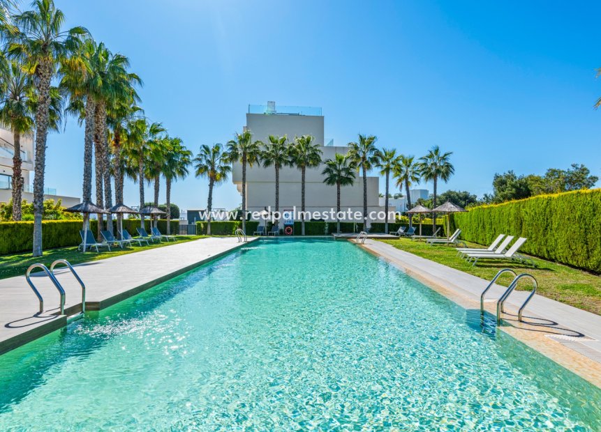 Återförsäljning - Lägenhet -
Orihuela Costa - Inland