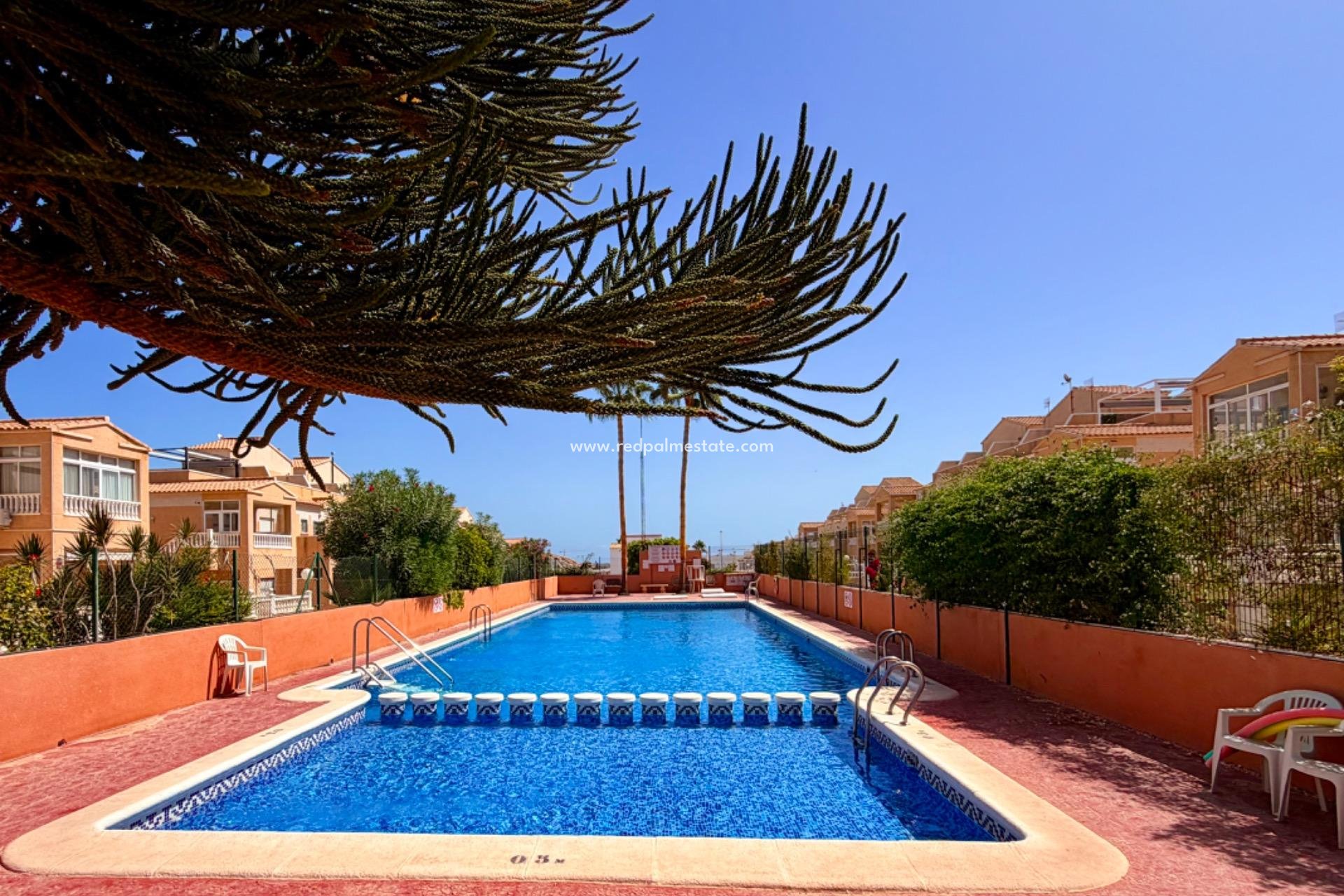 Återförsäljning - Lägenhet -
Orihuela Costa - La Ciñuelica - Villa Rosa
