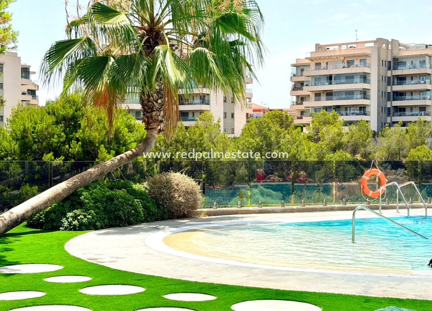 Återförsäljning - Lägenhet -
Orihuela Costa - La Zenia