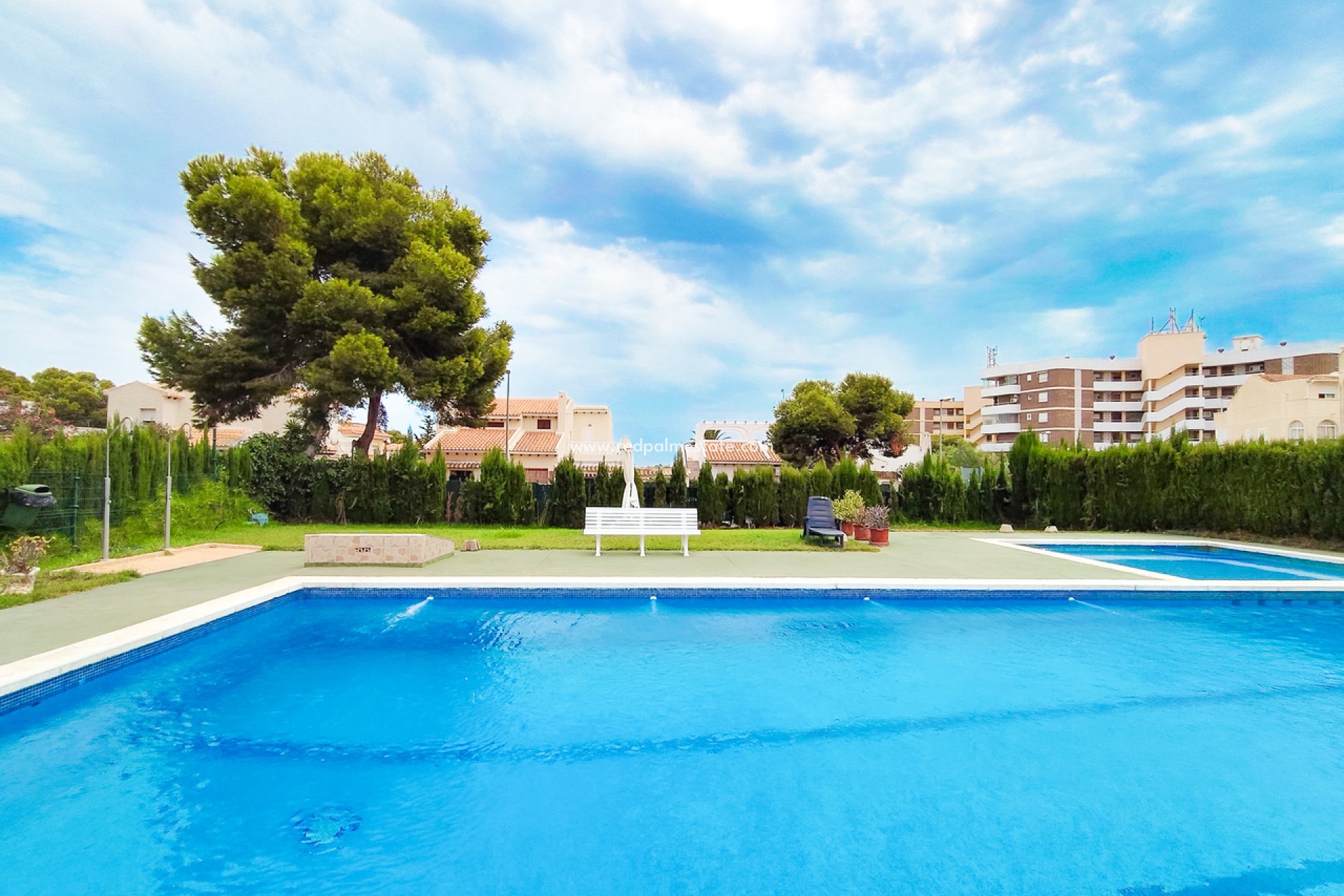 Återförsäljning - Lägenhet -
Orihuela Costa - La Zenia