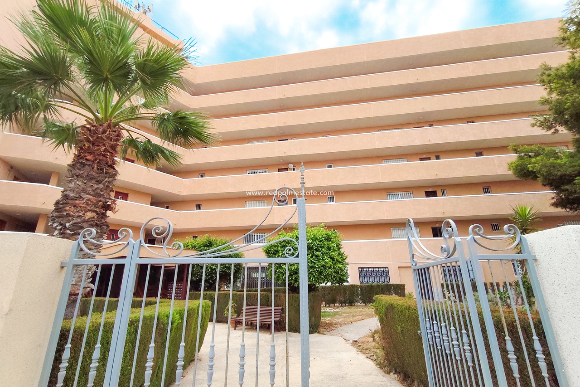 Återförsäljning - Lägenhet -
Orihuela Costa - La Zenia