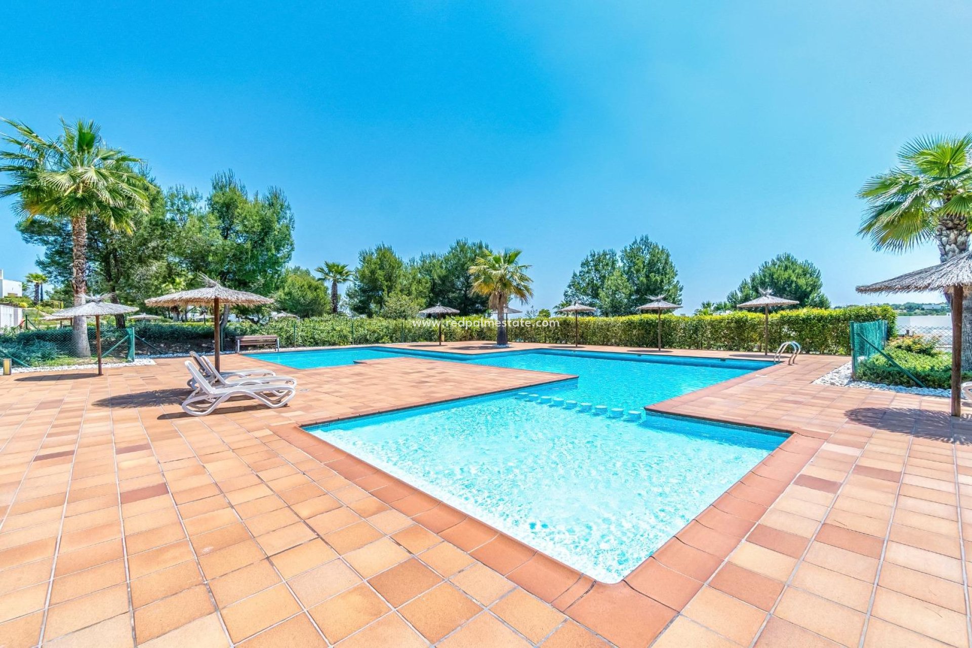 Återförsäljning - Lägenhet -
Orihuela Costa - Las Colinas Golf