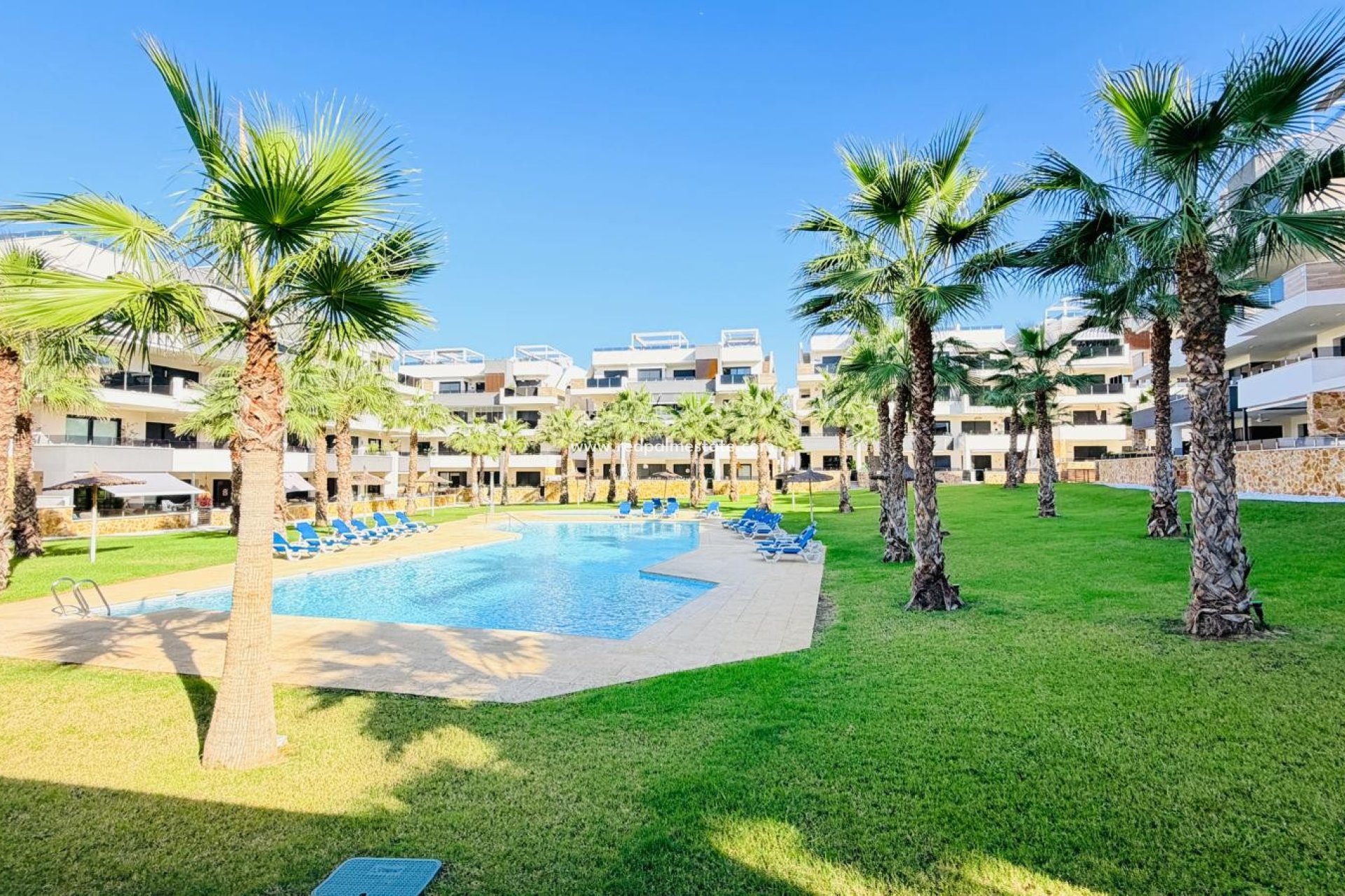 Återförsäljning - Lägenhet -
Orihuela Costa - Los altos