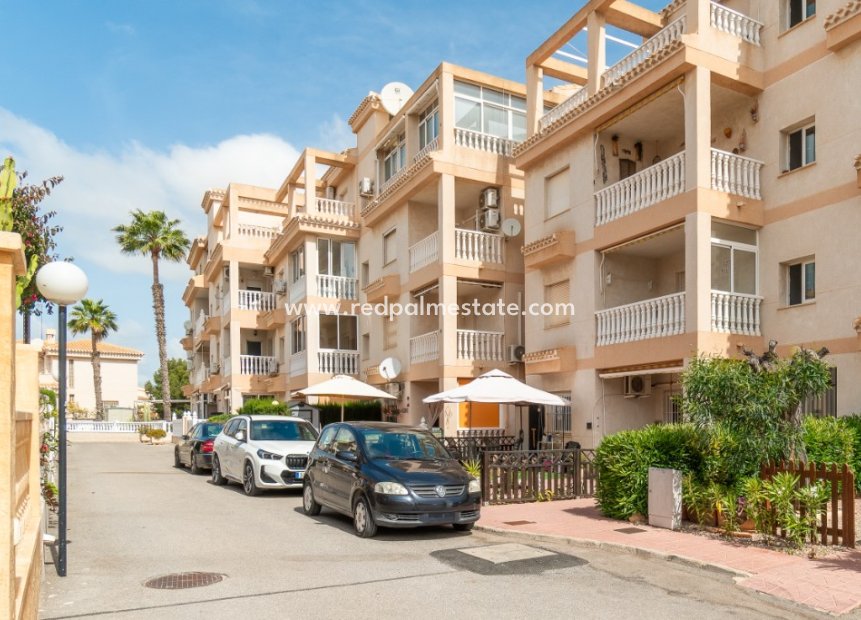 Återförsäljning - Lägenhet -
Orihuela Costa - Playa Flamenca