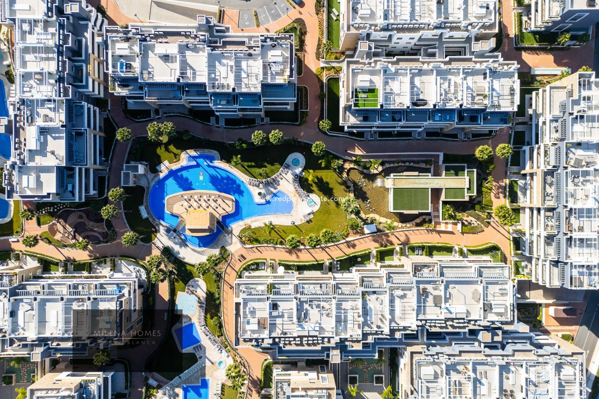 Återförsäljning - Lägenhet -
Orihuela Costa - Playa Flamenca