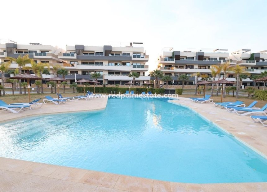 Återförsäljning - Lägenhet -
Orihuela Costa - Punta prima
