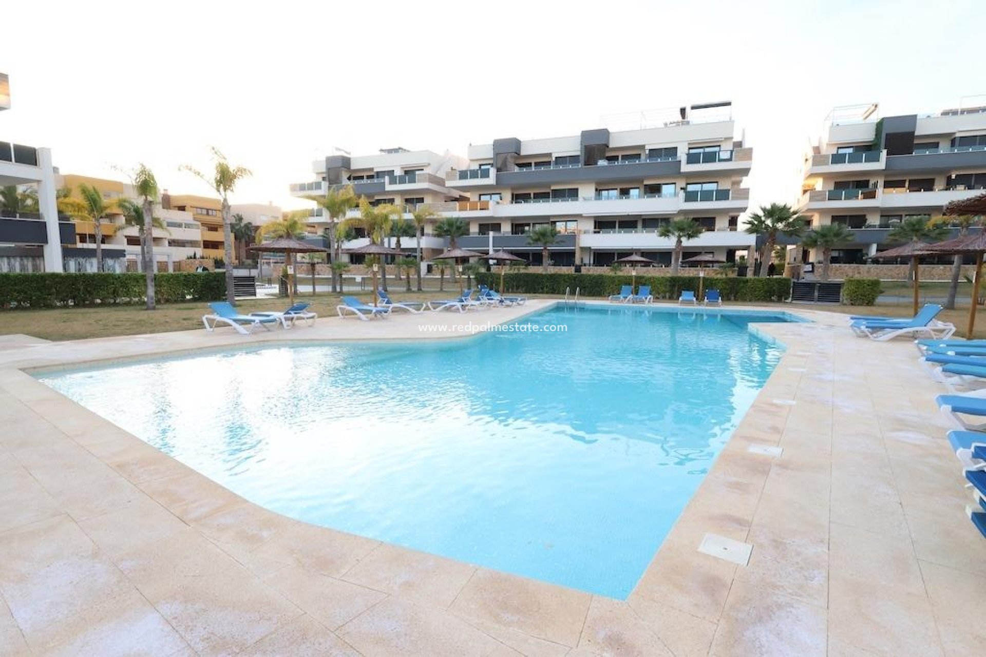 Återförsäljning - Lägenhet -
Orihuela Costa - Punta prima