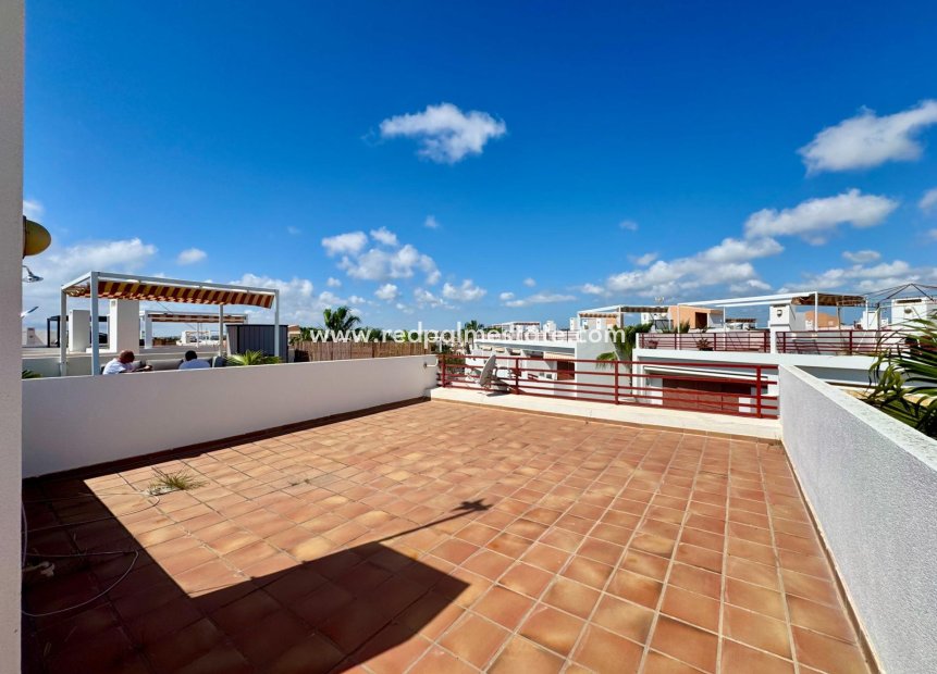 Återförsäljning - Lägenhet -
Orihuela Costa - Punta prima