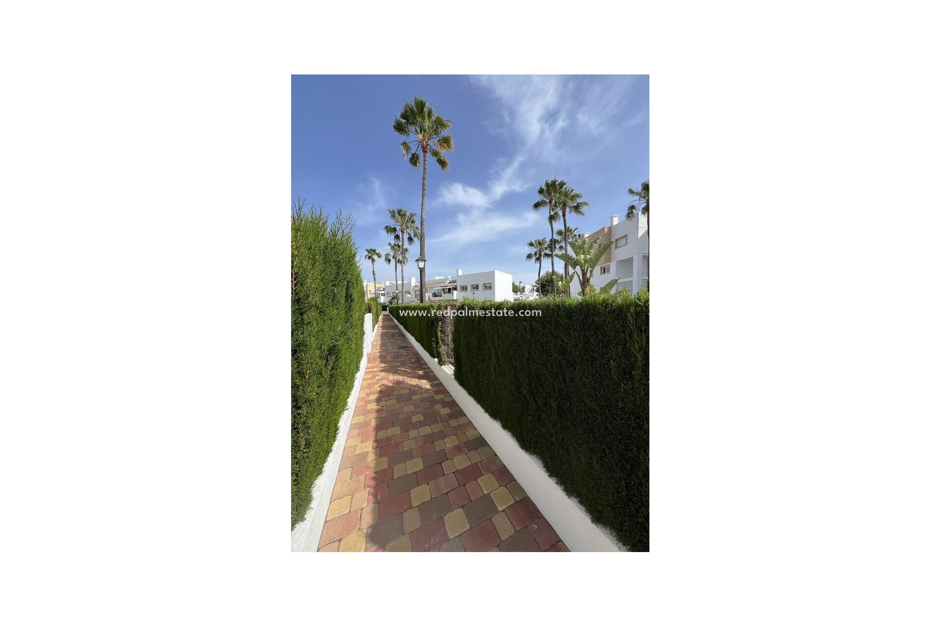 Återförsäljning - Lägenhet -
Orihuela Costa - Villamartín