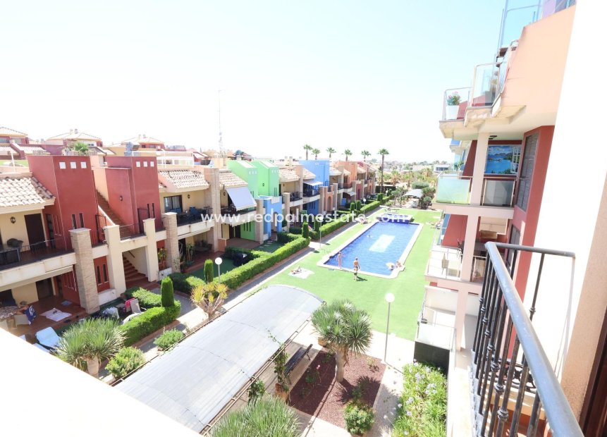 Återförsäljning - Lägenhet -
Orihuela Costa