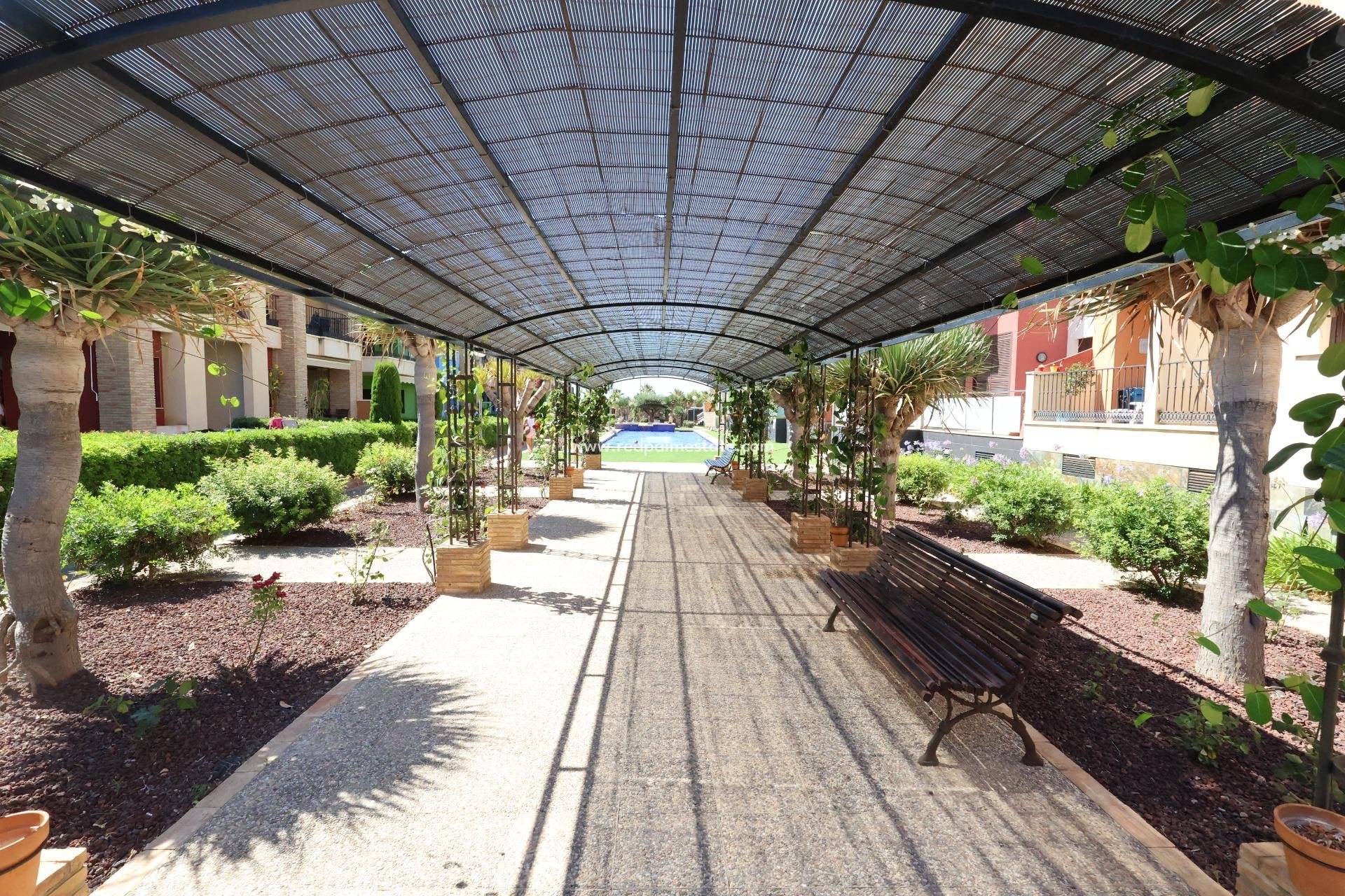 Återförsäljning - Lägenhet -
Orihuela Costa