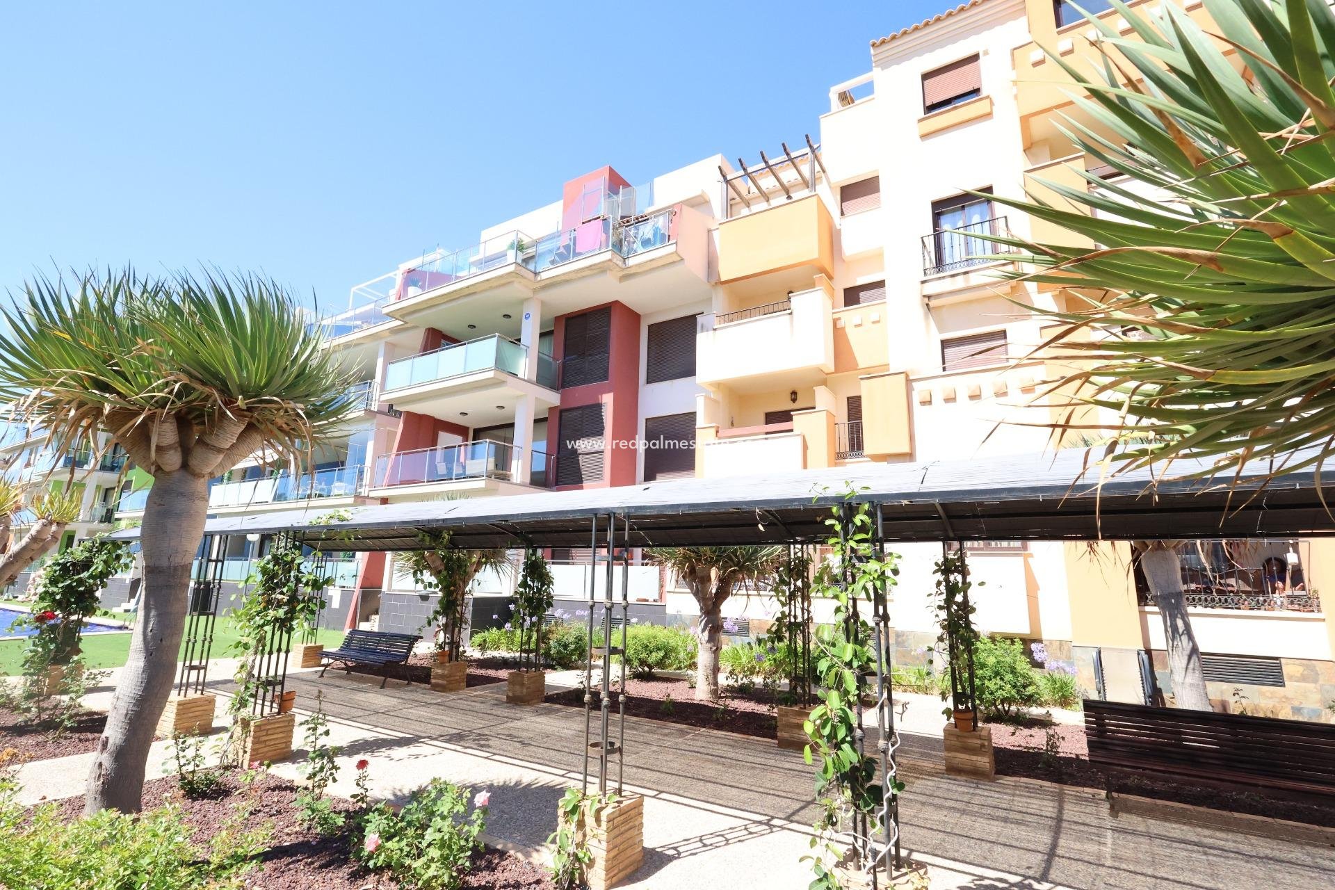 Återförsäljning - Lägenhet -
Orihuela Costa