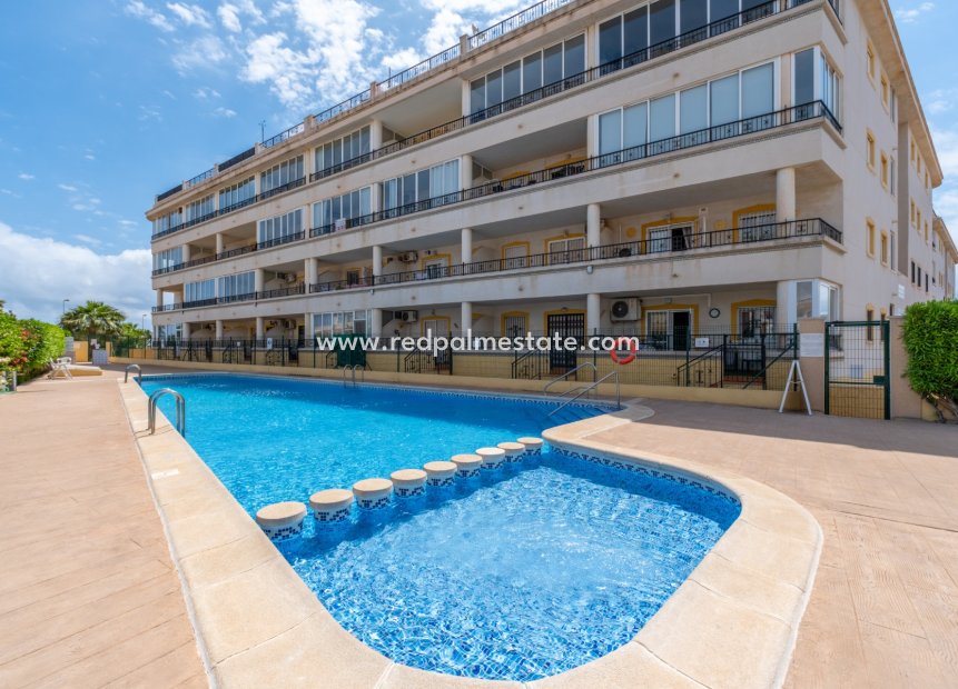 Återförsäljning - Lägenhet -
Orihuela Costa