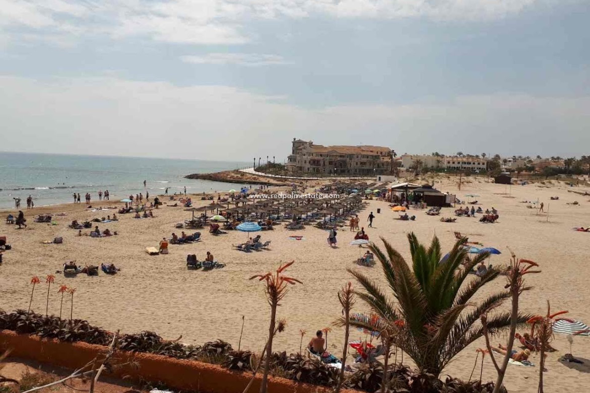 Återförsäljning - Lägenhet -
Orihuela Costa